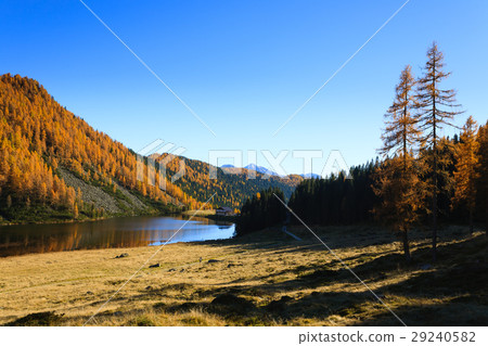 Autumn panorama from Italian Alps 29240582