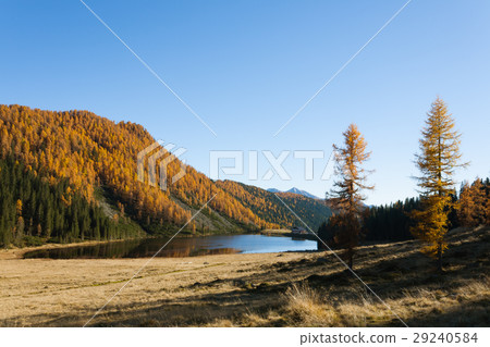 Autumn panorama from Italian Alps Autumn panorama from Italian Alps 29240584