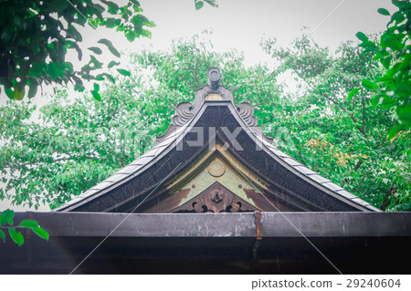 Kiyomizu Kannon-do Temple in the rain 29240604
