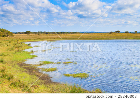 Isimangaliso Wetland Park landscape 29240808