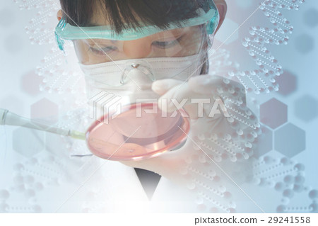 Medical research image 29241558