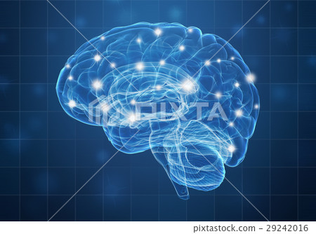 A human brain on blue background - Stock Illustration [29242016] - PIXTA