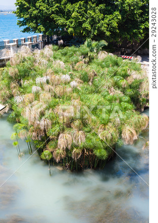 view of Spring of Arethusa in Syracuse city 29243028