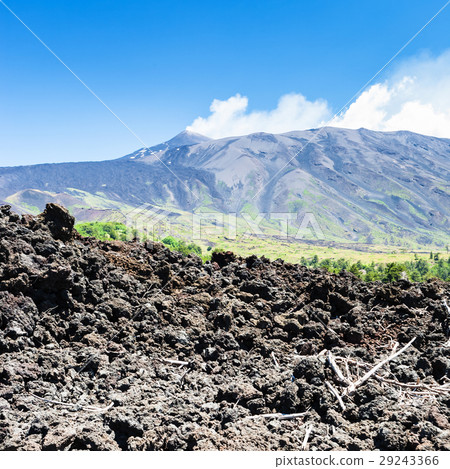 view of petrified lava on slope of Etna volcano 29243366