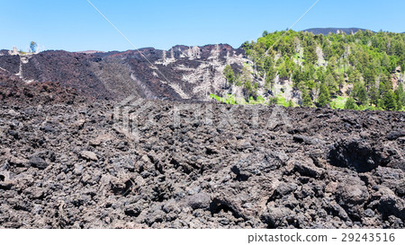 frozen lava flow on slope of Etna volcano 29243516