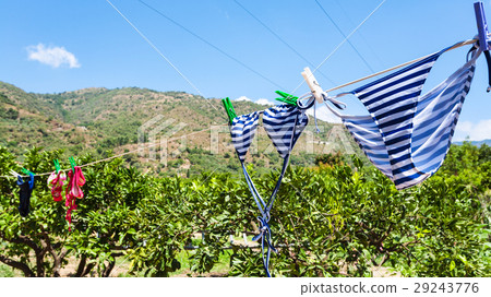 swim suits dry in green garden outdoors in Sicily swim suits dry in green garden outdoors in Sicily 29243776