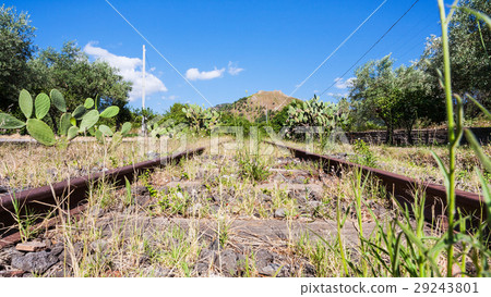 abandoned rural railway in Sicily 29243801