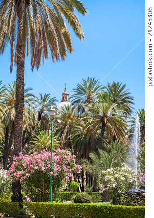 public garden Villa Bonanno in Palermo city 29243806
