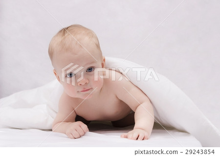 Lovely toddler boy looking at camera 29243854