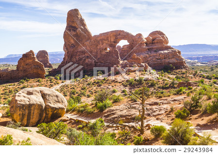 Arches national park, arches, canyon 29243984