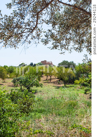 view of green gardens and ancient temple view of green gardens and ancient temple 29244118