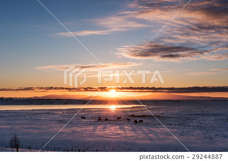 Sunrise landscaped at winter in Iceland 29244887