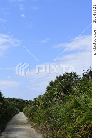 Okinawa Kudakajima 29245621