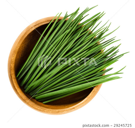 Chives scapes in wooden bowl over white 29245725