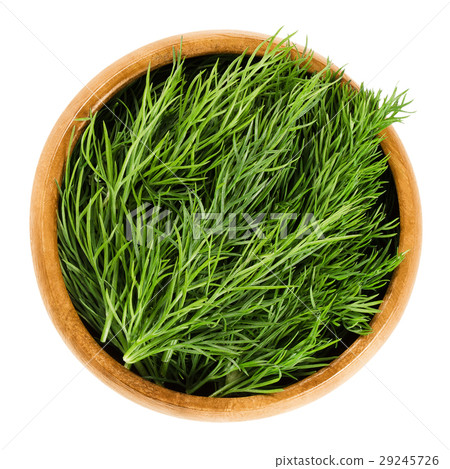 Fresh dill fronds in wooden bowl, also dill weed 29245726