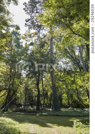 Helikon park in Keszthely, Hungary. Helikon park in Keszthely, Hungary. 29246039
