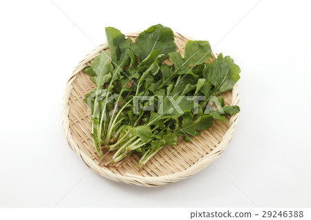 arugula  29246388