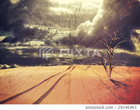 Dead tree and vehicle tracks in desert landscape 29246963