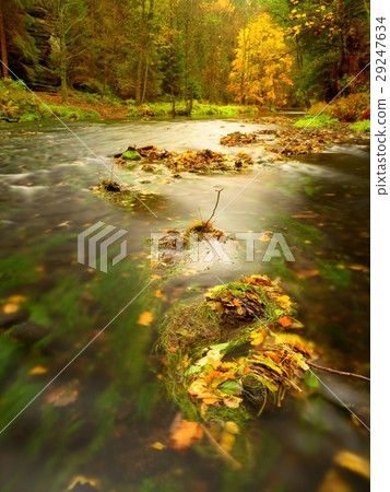 Colorful autumn leaves, boulder in mountain stream 29247634