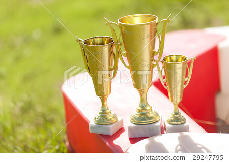 Trophy cups on asphalt. Trophy cups on asphalt. 29247795