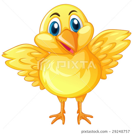 Little chick with happy face 29248757