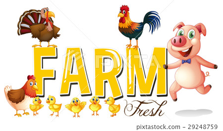 Font design for farm with pig and chickens 29248759