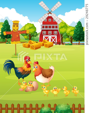 Many chickens on the farm 29248775