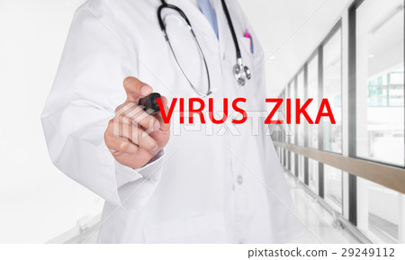 Doctor writing the words VIRUS ZIKA Doctor writing the words VIRUS ZIKA 29249112