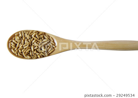 小麥，穀物，雜糧，糧食,Cereals, grains、穀物，食品、ソバ、小麦、 29249534