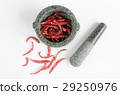 dried chili with mortar on white backgro 29250976