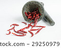 dried chili with mortar on white backgro 29250979
