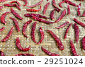 spicy chili on bamboo background 29251024