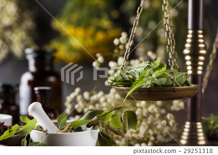 Fresh medicinal, healing herbs on wooden Fresh medicinal, healing herbs on wooden 29251318