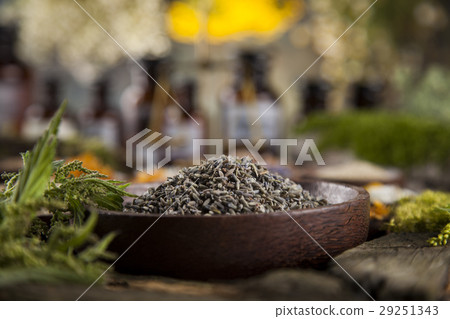 Fresh medicinal, healing herbs on wooden 29251343