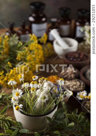 Herbs medicine and vintage wooden desk background Herbs medicine and vintage wooden desk background 29251855