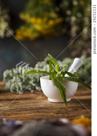 Herbs medicine,Natural remedy and mortar  29252131