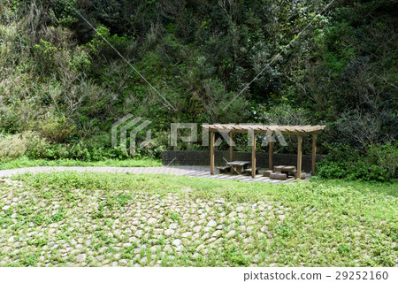 Forest rest bench 29252160