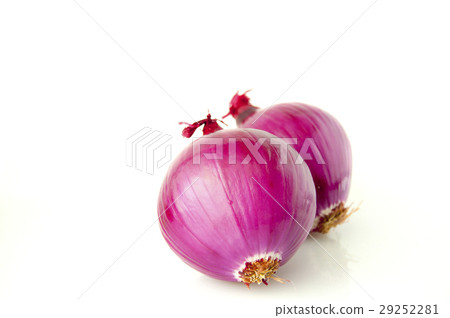 Western蔥,蔥蔥,洋蔥,荷蘭洋蔥,洋蔥,荷蘭洋蔥 Western蔥,蔥蔥,洋蔥,荷蘭洋蔥,洋蔥,荷蘭洋蔥 29252281