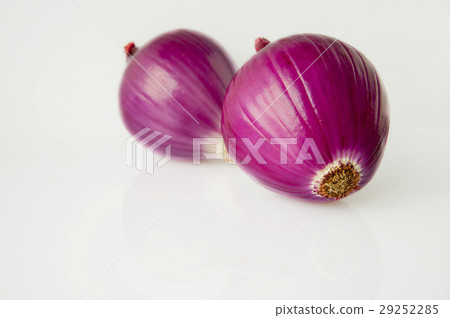 Western蔥,蔥蔥,洋蔥,荷蘭洋蔥,洋蔥,荷蘭洋蔥 Western蔥,蔥蔥,洋蔥,荷蘭洋蔥,洋蔥,荷蘭洋蔥 29252285