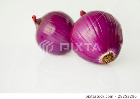 Western蔥,蔥蔥,洋蔥,荷蘭洋蔥,洋蔥,荷蘭洋蔥 Western蔥,蔥蔥,洋蔥,荷蘭洋蔥,洋蔥,荷蘭洋蔥 29252286