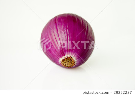 Western蔥,蔥蔥,洋蔥,荷蘭洋蔥,洋蔥,荷蘭洋蔥  Western蔥,蔥蔥,洋蔥,荷蘭洋蔥,洋蔥,荷蘭洋蔥 29252287