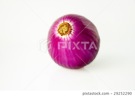 Western蔥,蔥蔥,洋蔥,荷蘭洋蔥,洋蔥,荷蘭洋蔥 Western蔥,蔥蔥,洋蔥,荷蘭洋蔥,洋蔥,荷蘭洋蔥 29252290