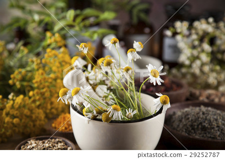 Alternative medicine, dried herbs and mortar  29252787