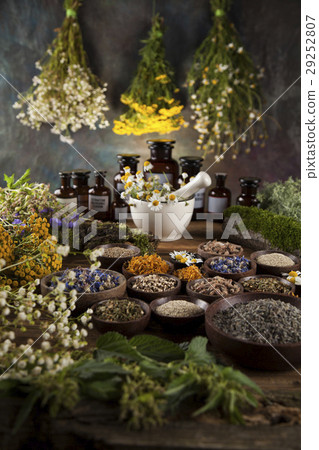 Herbs, berries and flowers with mortar, on wooden Herbs, berries and flowers with mortar, on wooden 29252807