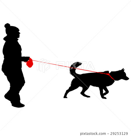 Silhouette of people and dog. Vector illustration 29253129