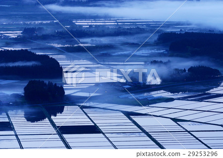 Dawn of Spring Dawn of Spring 29253296