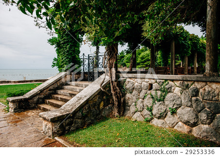 green wooden restaurant 29253336