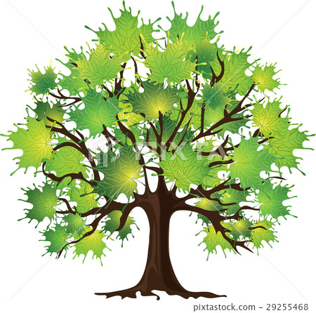 Maple tree on white 29255468