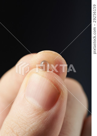 one granula of silica gel one granula of silica gel 29256159