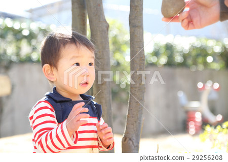 Two-year old boy playing in the park 29256208